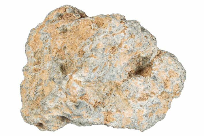 Lunar Meteorite ( g) - Bechar #281668